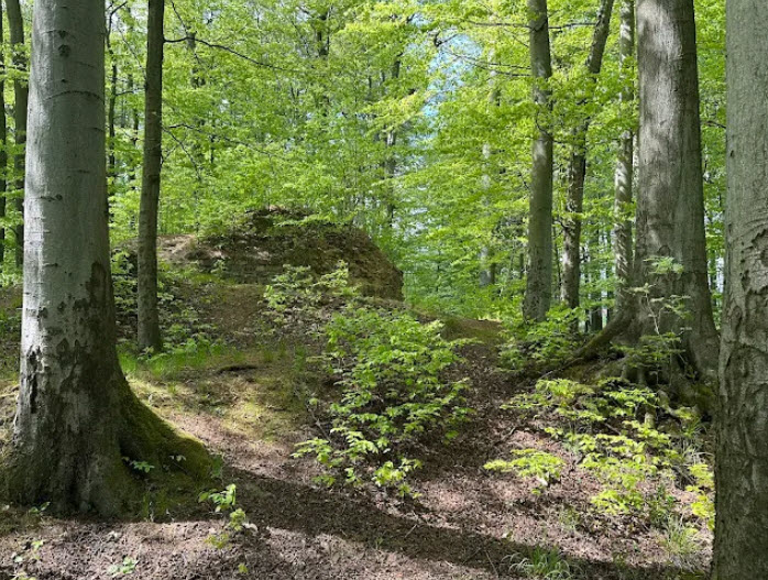 Krásný Buk Castle, Czech Republic (Czechia)